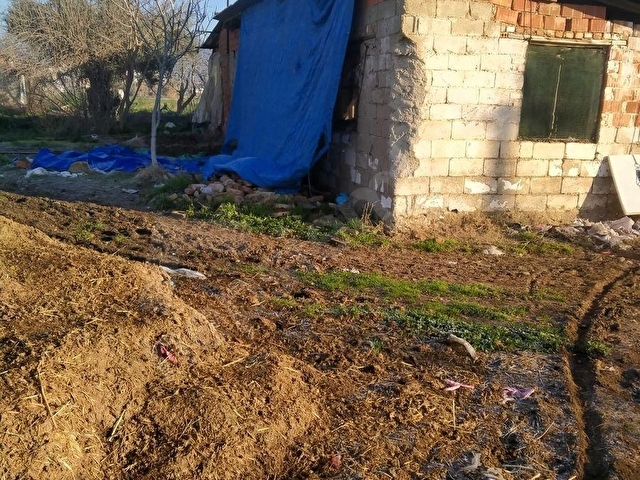 GERMENCİK YERLEŞİM YERİNE YAKIN SATILIK HAYVAN ÇİFTLİĞİ VE BAHÇE - Görsel 12