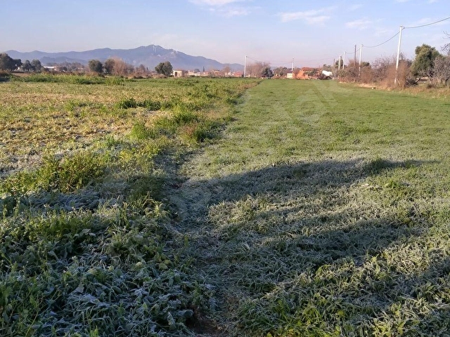 GERMENCİK YERLEŞİM YERİNE YAKIN SATILIK HAYVAN ÇİFTLİĞİ VE BAHÇE - Görsel 8