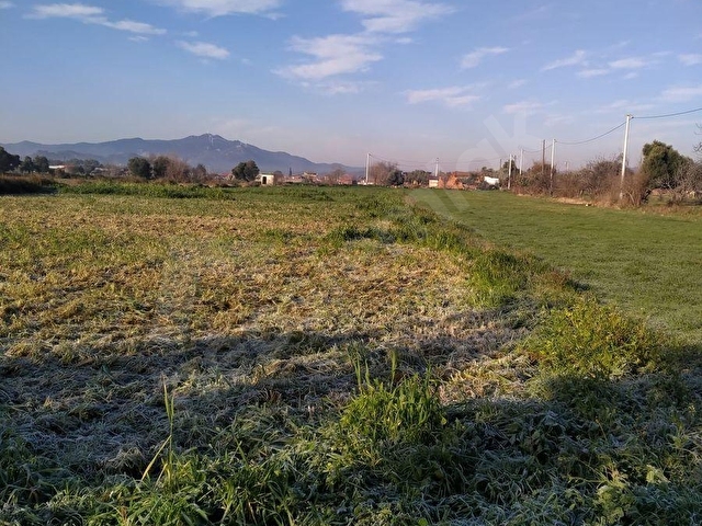 GERMENCİK YERLEŞİM YERİNE YAKIN SATILIK HAYVAN ÇİFTLİĞİ VE BAHÇE - Görsel 9
