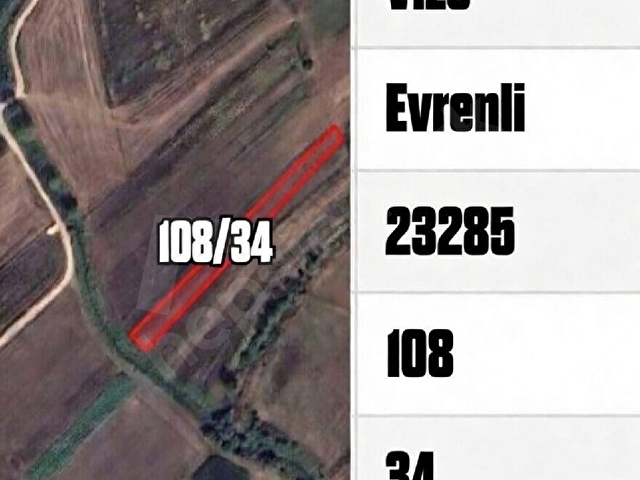 VİZE EVRENLİ DE TARLADAN HİSSE