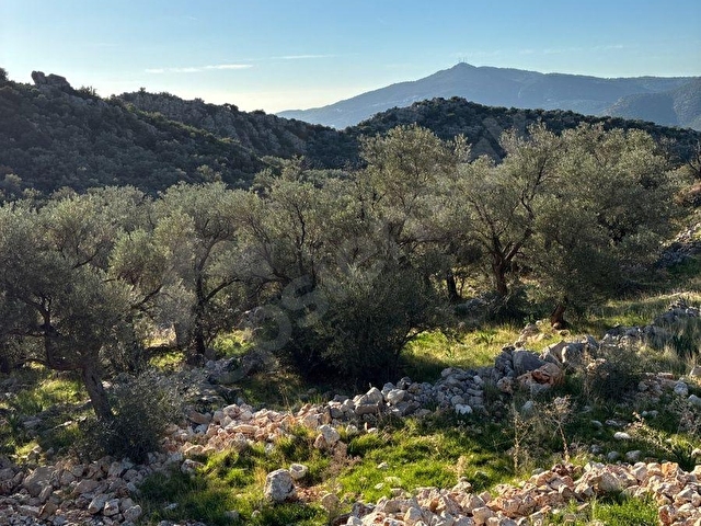 KALKAN/BEZİRGAN GÜÇLÜ KONUMU VE GELECEĞE YÖNELİK SATILIK ARSA - Görsel 8
