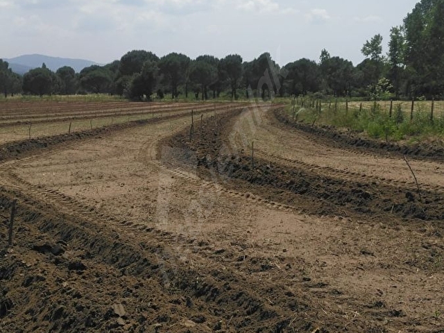 Satılık Arsa - Görsel 3