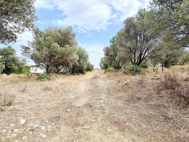 ÇEŞME ILDIR MEVKİNDE DENİZE 350 METRE MESAFEDE SATILIK 525 M2 KONUT İMARLI DEĞERLİ MÜSTAKİL ARSA - Görsel 15