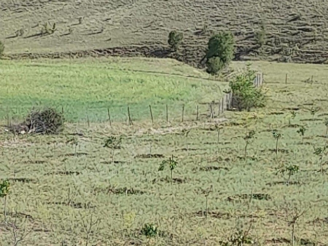 Etrafı çevrili arsa, sulama havuzu, kabası bitmiş bağ evi ile - Görsel 3