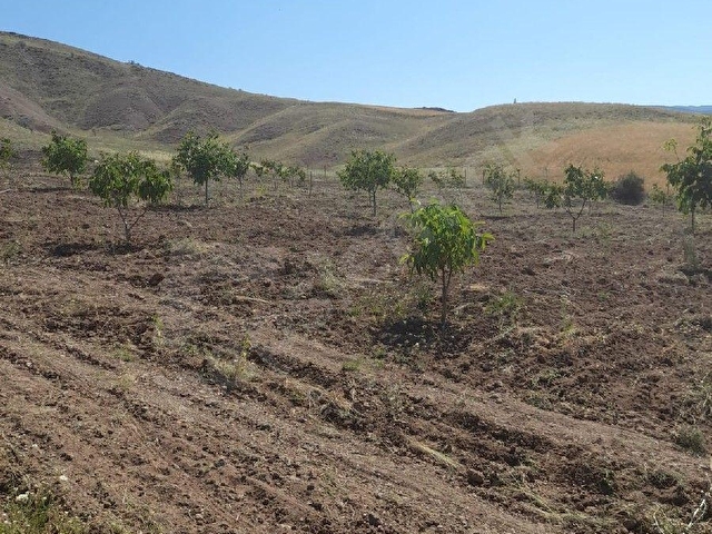 Etrafı çevrili arsa, sulama havuzu, kabası bitmiş bağ evi ile - Görsel 8