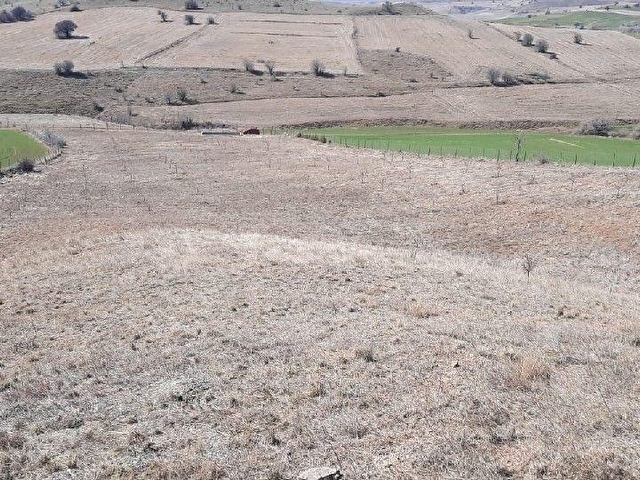 Etrafı çevrili arsa, sulama havuzu, kabası bitmiş bağ evi ile - Görsel 20