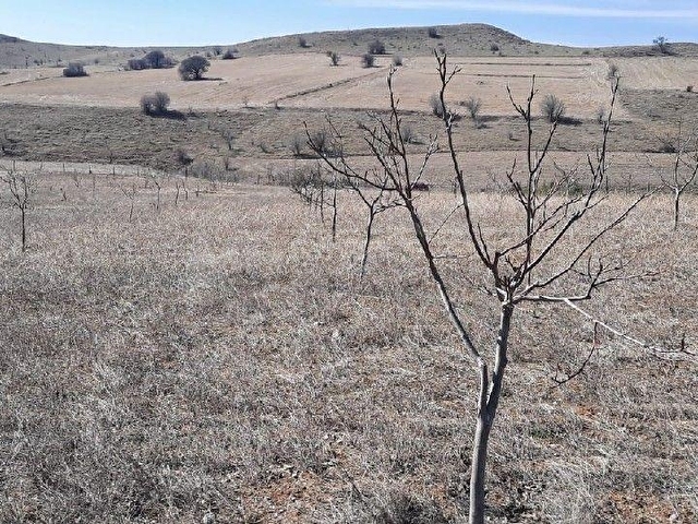 Etrafı çevrili arsa, sulama havuzu, kabası bitmiş bağ evi ile - Görsel 21