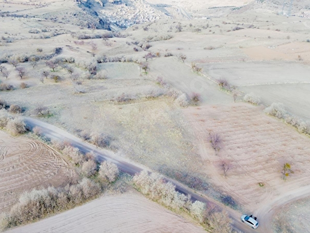 DENİZ GAYRİMENKULDEN GÖRE ÇAYIRLIKDA 3680 M2 SATILIK BAĞ - Görsel 5