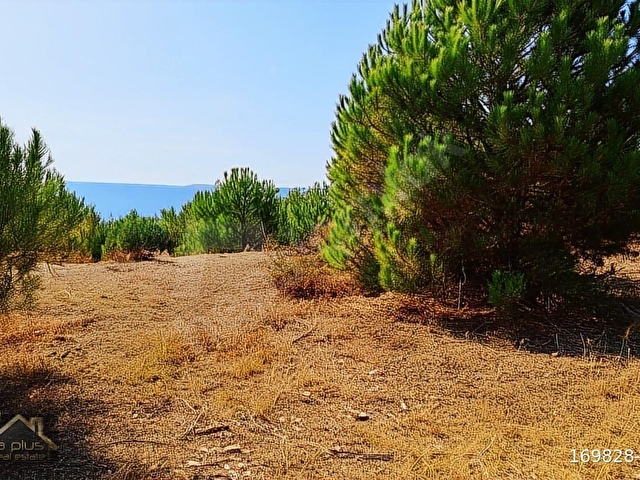 ÇANAKKALE, BOZCAADA, ALAYBEY MAHALLESİ 2000 m2 SATILIK ARSA - Görsel 3