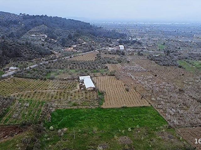 İmara Yakın Konumda 6 Dönüm Müstakil Tapulu Bağ Kaçmaz Fırsat - Görsel 10