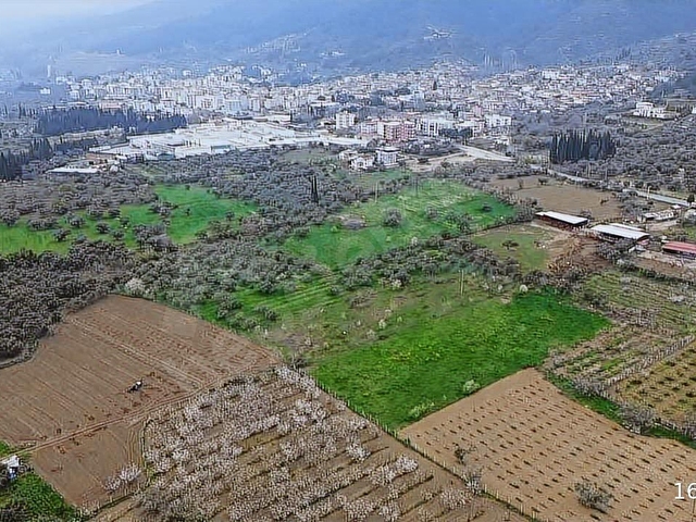 İmara Yakın Konumda 6 Dönüm Müstakil Tapulu Bağ Kaçmaz Fırsat - Görsel 7