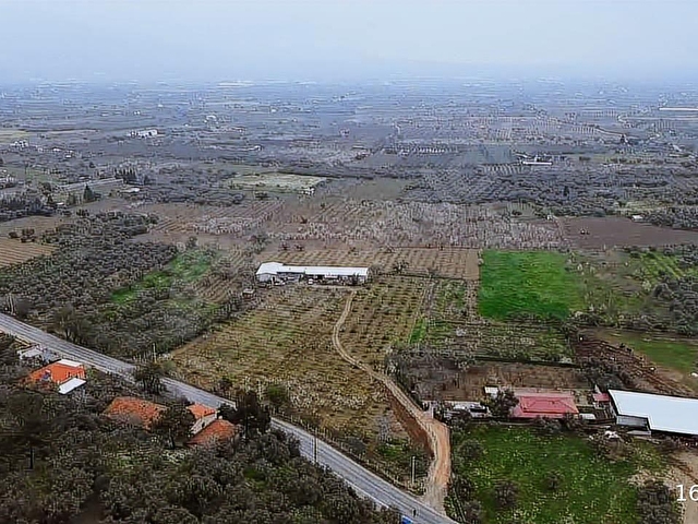 İmara Yakın Konumda 6 Dönüm Müstakil Tapulu Bağ Kaçmaz Fırsat - Görsel 13