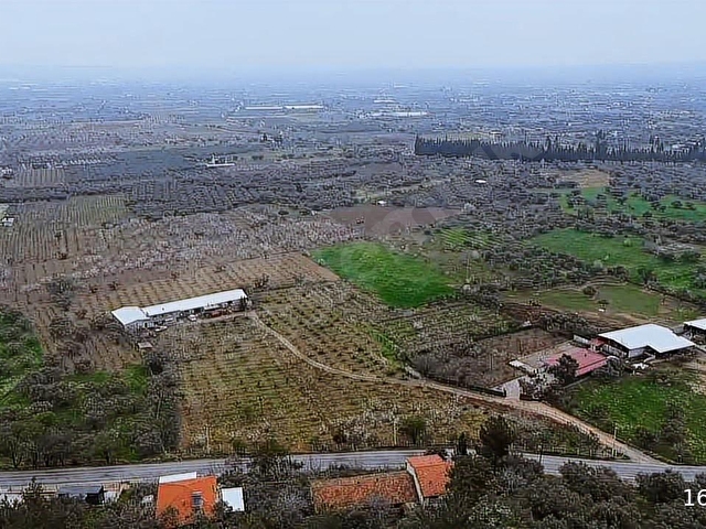 İmara Yakın Konumda 6 Dönüm Müstakil Tapulu Bağ Kaçmaz Fırsat - Görsel 14