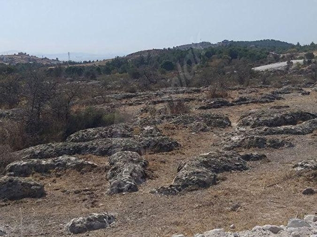 DİKİLİ ÇANDARLI ELELE KONUTYAPI KOPERATİFİNDE SATILIK 290M2 ARSA - Görsel 7
