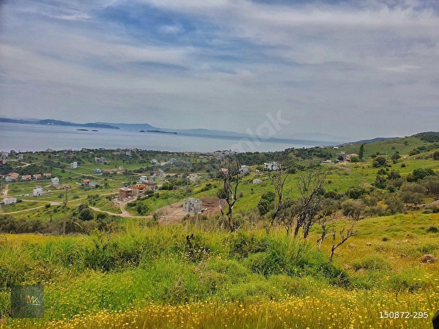 Çandarlıda Panaromik Deniz Manzaralı Satılık 4 Adet Arsa - Görsel 9