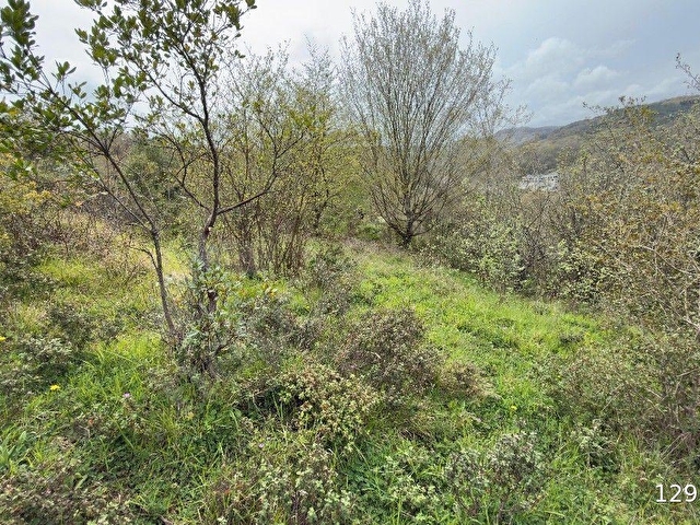 satılık şile bozgacada turizim imarlı 658 M2 arsa - Görsel 2