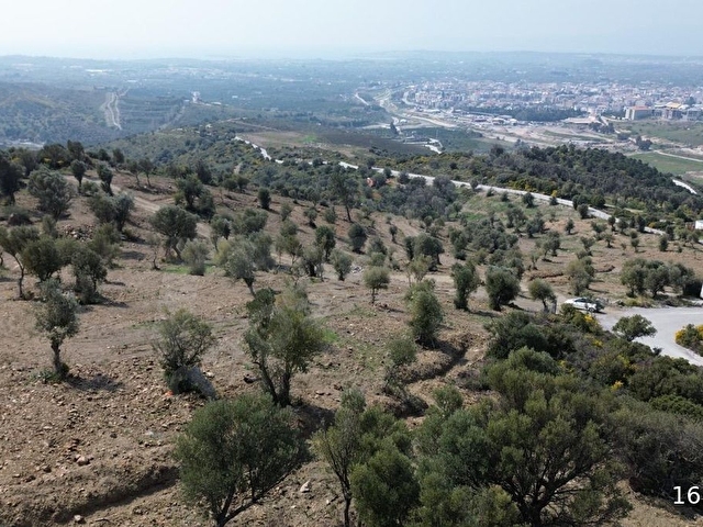 Proje sahibinden!! Seferihisar turabiye merkez 220 m2 deniz manzaralı parseller - Görsel 4