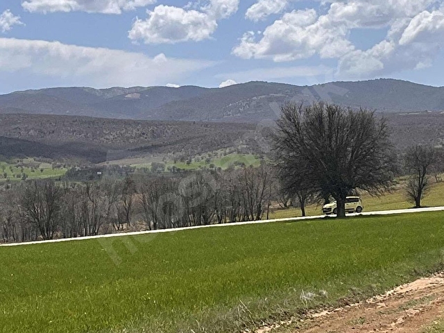 Banaz Hocalar yolu 7800m2 Eletrik Suyu yolu Olan Tarla - Görsel 9