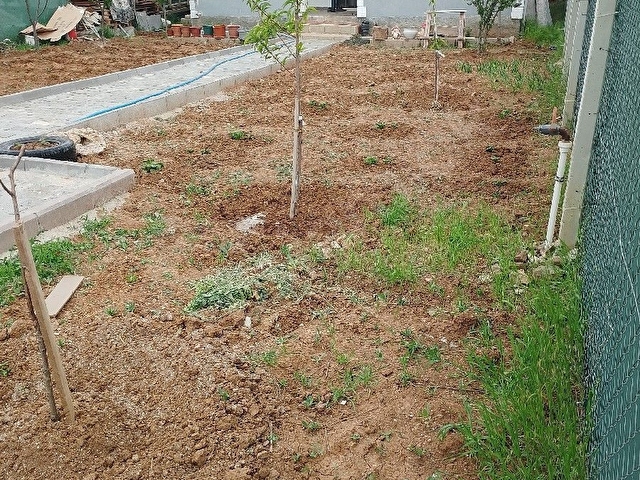lalahanda 400 M2 arsa - Görsel 12