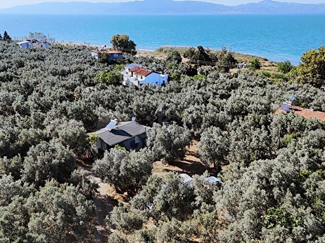 REALTY NEXUSDAN İZNİK GÖLLÜCEDE FIRSAT ARAZİ - Görsel 2