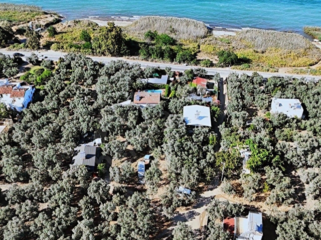 REALTY NEXUSDAN İZNİK GÖLLÜCEDE FIRSAT ARAZİ - Görsel 5