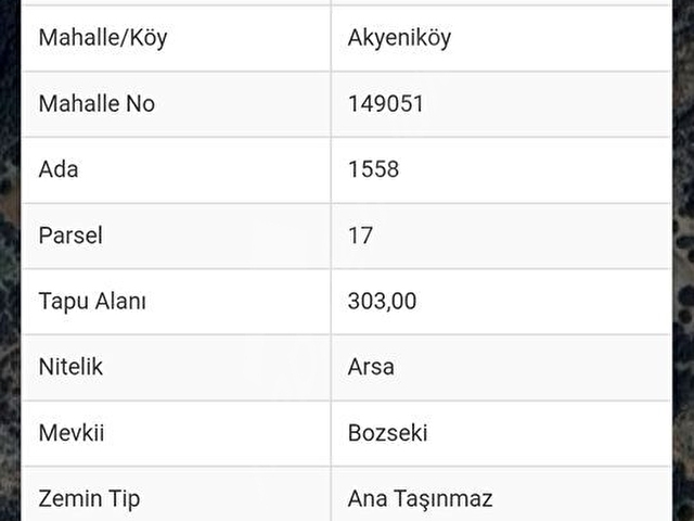 AYDIN DİDİM AKYENİKÖY BOZSEKİ SATILIK 303 M2 İMARLI ARSA - Görsel 3