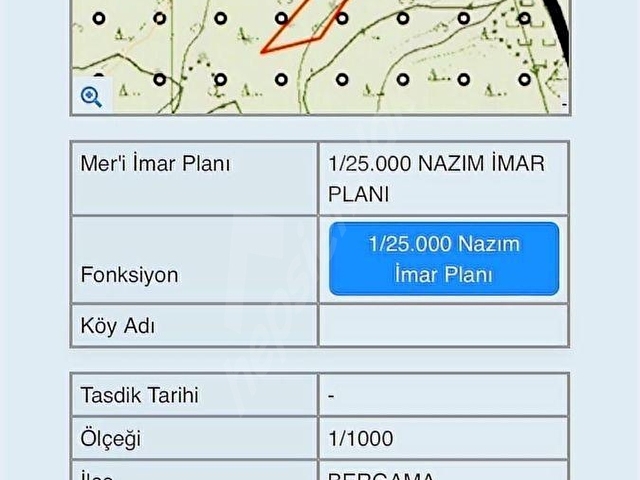 BERGAMA ÖZEL DİKİM ÇAM FISTIK AĞAÇLI İMAR SINIRINDA - Görsel 8