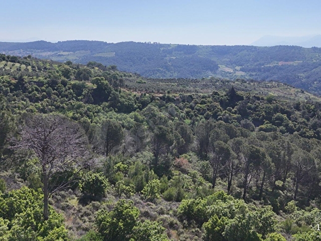 BERGAMA YUKARI ILGINDERE MAHALLESİNDE 9.498 M² SATILIK TARLA - Görsel 5