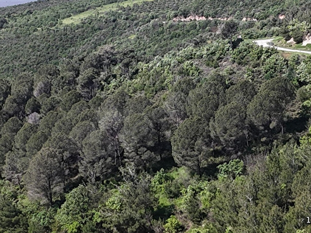 BERGAMA YUKARI ILGINDERE MAHALLESİNDE 9.498 M² SATILIK TARLA - Görsel 8