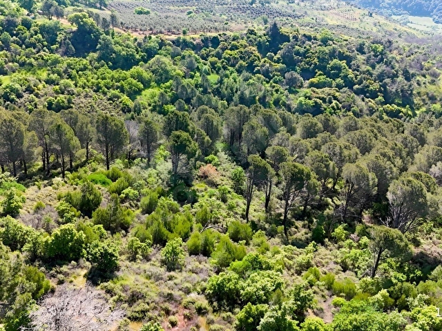 BERGAMA YUKARI ILGINDERE MAHALLESİNDE 9.498 M² SATILIK TARLA - Görsel 2