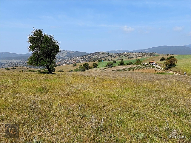 BURSA BÜYÜKORHAN KINIKTA 4.540 M2 UYGUN ARSA - Görsel 3