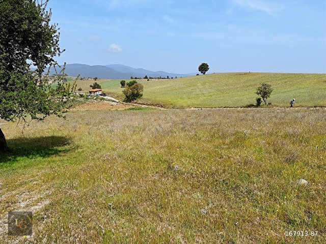 BURSA BÜYÜKORHAN KINIKTA 4.540 M2 UYGUN ARSA - Görsel 2