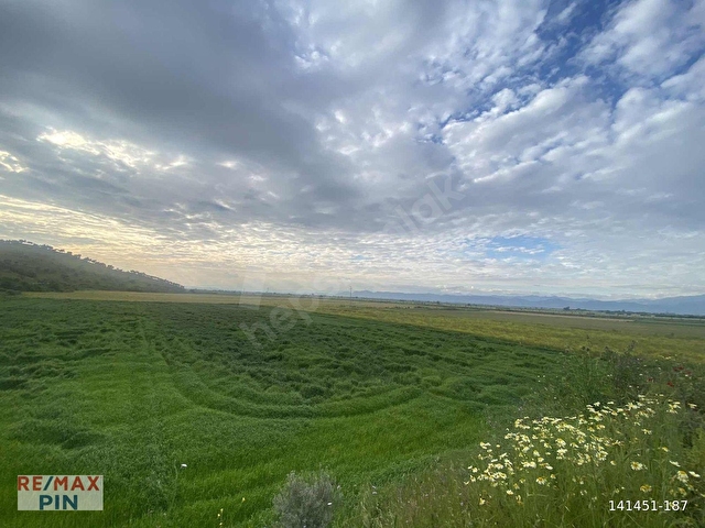 REMAX PİNDEN ANA YOLA CEPHE 18.895 M2 ALAN İÇİNDE SATILIK TARLA - Görsel 7