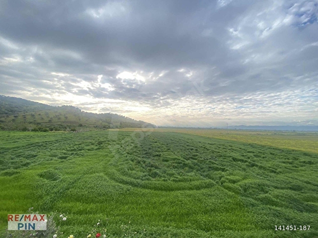 REMAX PİNDEN ANA YOLA CEPHE 18.895 M2 ALAN İÇİNDE SATILIK TARLA - Görsel 11