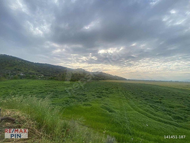 REMAX PİNDEN ANA YOLA CEPHE 18.895 M2 ALAN İÇİNDE SATILIK TARLA - Görsel 4