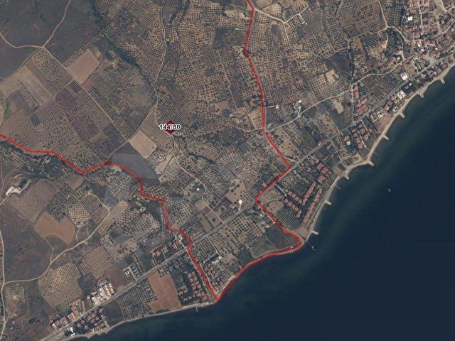 TEKİRDAĞ | ŞARKÖY | YUKARIKALAMIŞ | YATIRIMLIK | 972 M2 |  ZEYTİNLİK