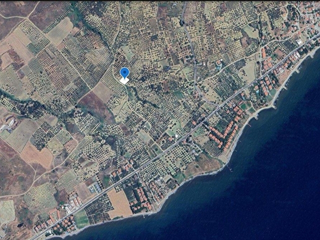 TEKİRDAĞ | ŞARKÖY | YUKARIKALAMIŞ | YATIRIMLIK | 972 M2 |  ZEYTİNLİK - Görsel 2