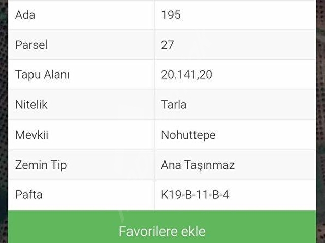 ÇINAR GAYRİMENKULDEN KAYALIOĞLU MAH.SATILIK ZEYTİNLİK