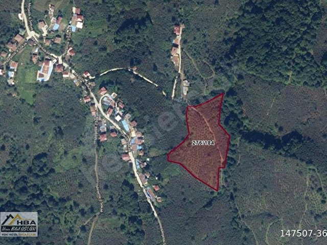 Terme Kazımkarabekir Mahallesi, Meşelik Mevkiinde 15,360 m2 Fındık Bahçesi - Görsel 2