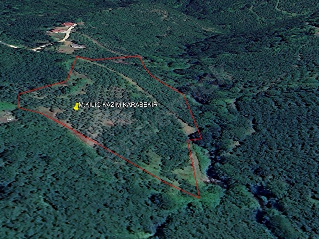 Terme Kazımkarabekir Mahallesi, Meşelik Mevkiinde 15,360 m2 Fındık Bahçesi - Görsel 8