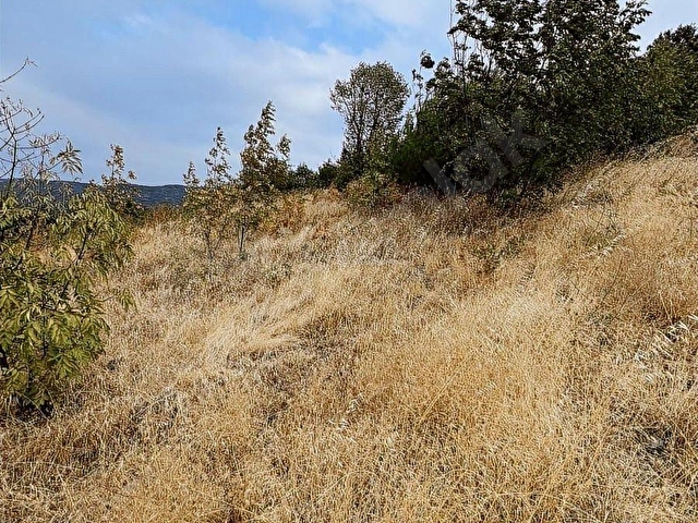 Acillll! Gökçeörende Satılık 4.335 m2 Tarla - Görsel 10