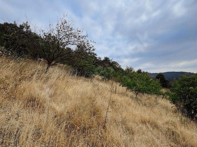 Acillll! Gökçeörende Satılık 4.335 m2 Tarla - Görsel 12