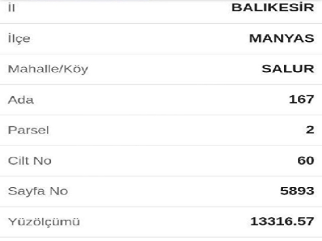 BALIKESIR, MANYAS SALURDA FIRSAT CIFTLIK ARAZISI.. - Görsel 4