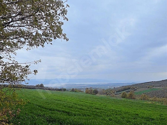 SANAYİ VE OTOBANA YKN ULUABAT GÖL MANZARALI 4300M2 SATILIK TARLA - Görsel 3