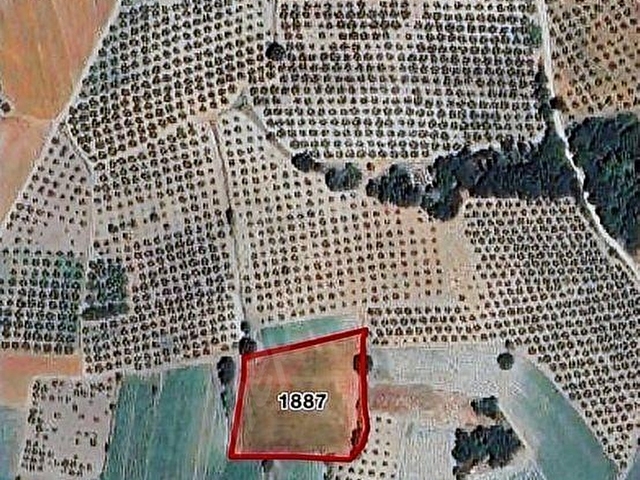 SANAYİ VE OTOBANA YKN ULUABAT GÖL MANZARALI 4300M2 SATILIK TARLA
