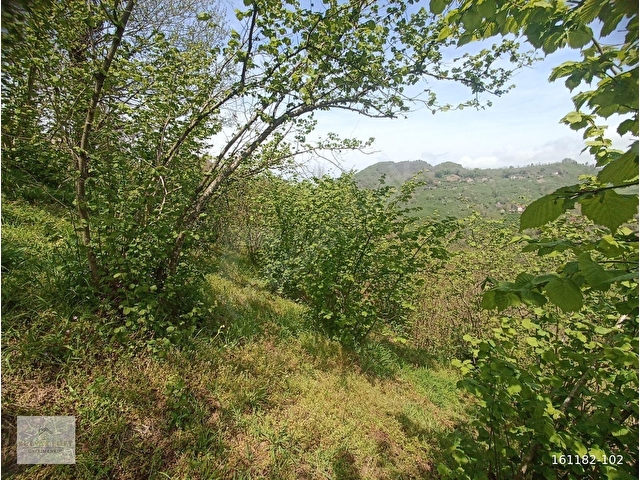 BULVAR LOFTDAN PERŞEMBE BOĞAZÇIK MAH.11779M2SAT. FINDIK BAHÇESİ - Görsel 6