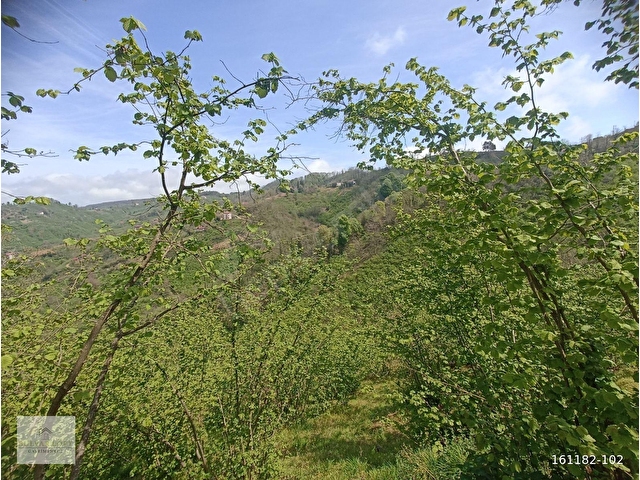 BULVAR LOFTDAN PERŞEMBE BOĞAZÇIK MAH.11779M2SAT. FINDIK BAHÇESİ - Görsel 2