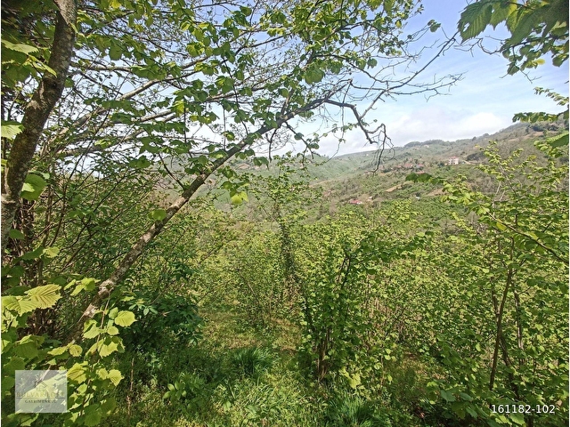 BULVAR LOFTDAN PERŞEMBE BOĞAZÇIK MAH.11779M2SAT. FINDIK BAHÇESİ - Görsel 5