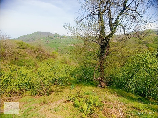 BULVAR LOFTDAN PERŞEMBE BOĞAZÇIK MAH.11779M2SAT. FINDIK BAHÇESİ - Görsel 13