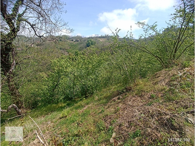 BULVAR LOFTDAN PERŞEMBE BOĞAZÇIK MAH.11779M2SAT. FINDIK BAHÇESİ - Görsel 14